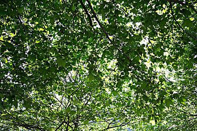 《F1 2022》双重权限仅限80美元冠军版