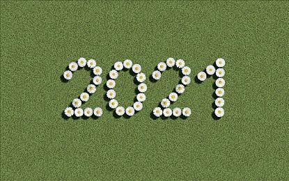 传微软将在6月举办一场E3风格发布会