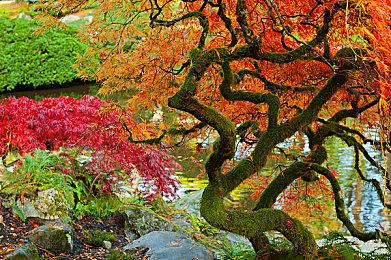 FOCUS ENTERTAINMENT将同UMANIMATION合作推出游戏《多尔多涅》